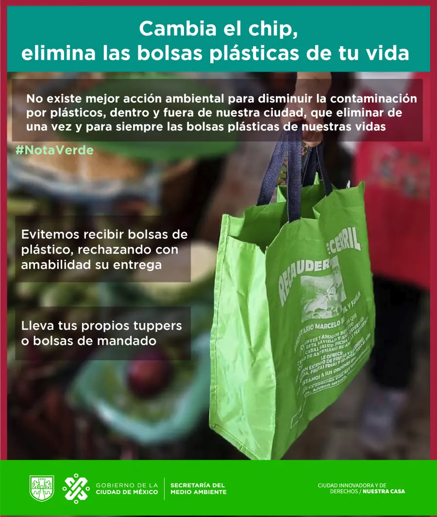 el problema de las bolsas de plastico en mexico - Cómo afecta la basura a México