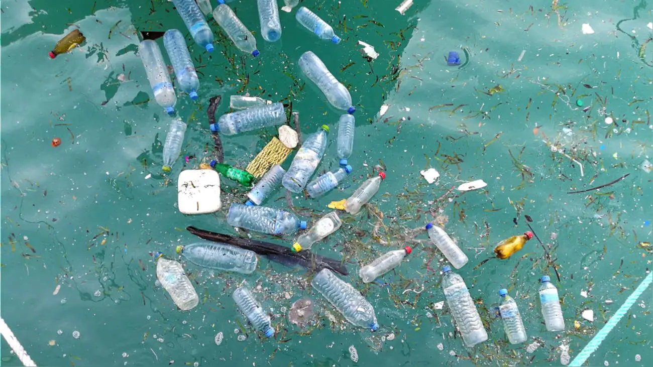 como afecta el plastico al mar - Cómo afecta la contaminación en el mar