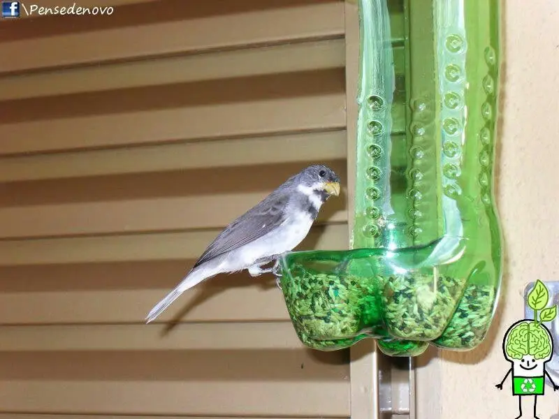 como hacer comederos para aves con botellas de plastico - Cómo atraer aves silvestres