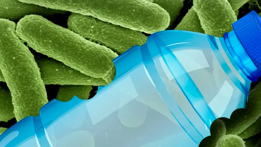 Cómo funcionan las bacterias que consumen plástico - Cómo funcionan las bacterias que comen plástico bacteria que consume plastico - Cómo funcionan las bacterias que comen plástico