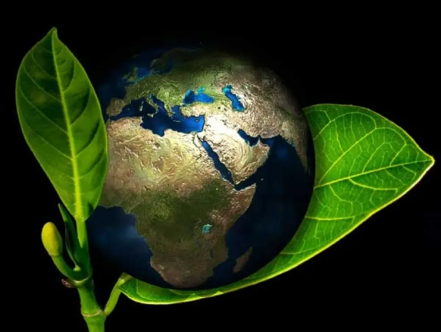 Para qué sirve el plástico biodegradable - Cómo funcionan las cosas biodegradables para que sirve el plastico biodegradable - Cómo funcionan las cosas biodegradables