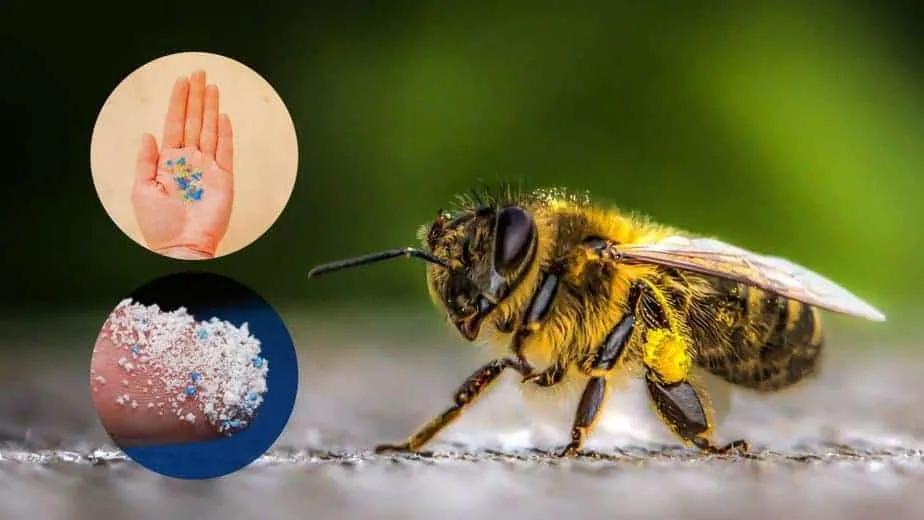 abejas plastico - Cómo hacen las abejas los panales
