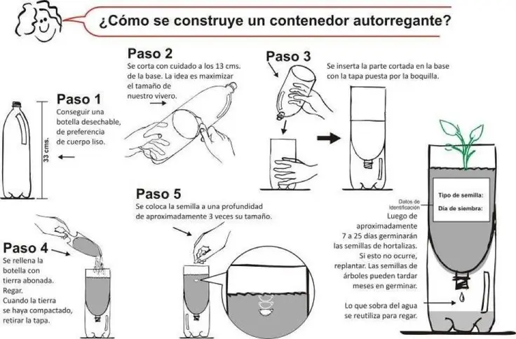 Cómo hacer un semillero con botellas de plástico - Cómo hacer un semillero fácil y rápido como hacer un semillero con botellas de plastico - Cómo hacer un semillero fácil y rápido