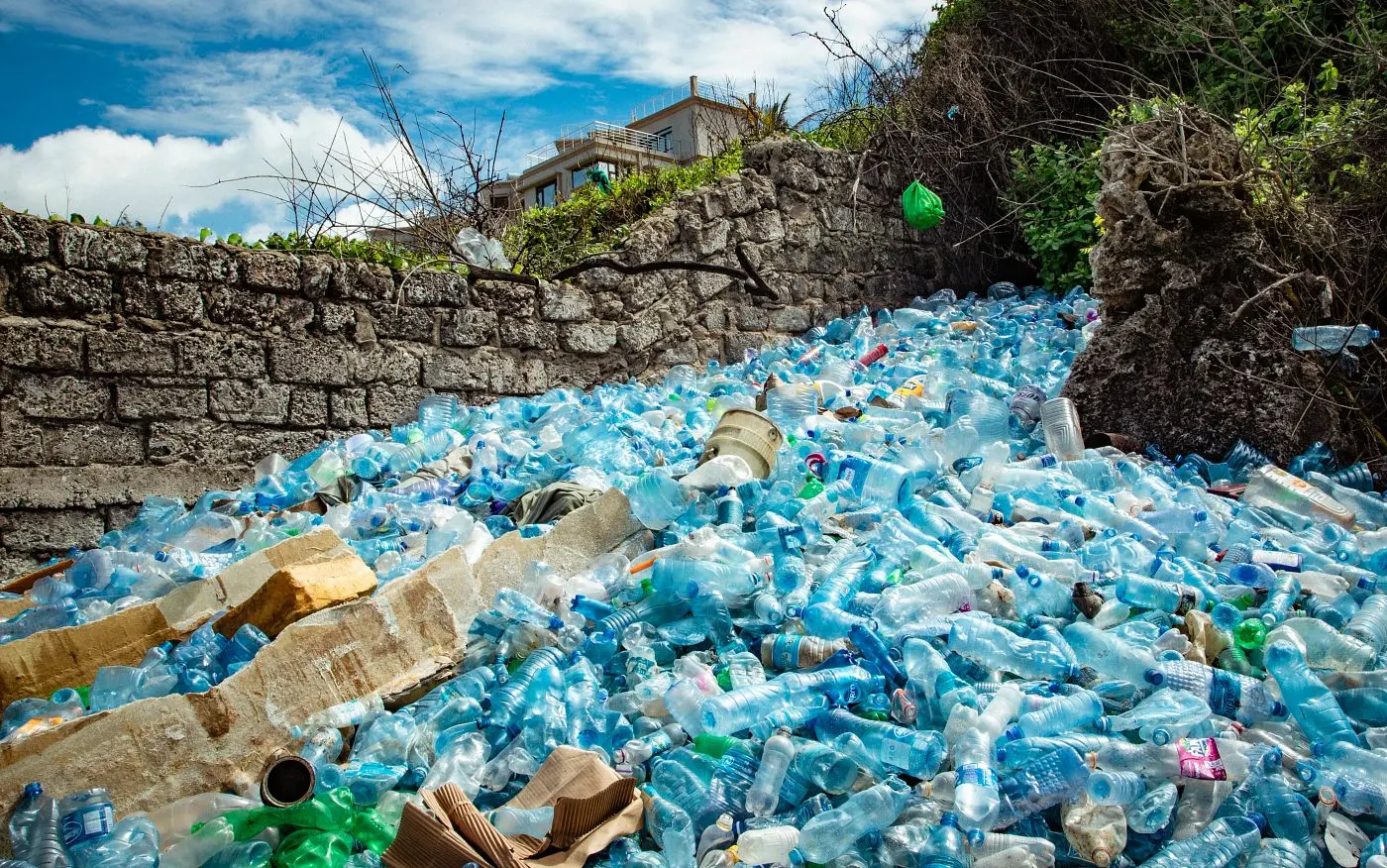 impacto plastico - Cómo impacta el plástico en el medio ambiente