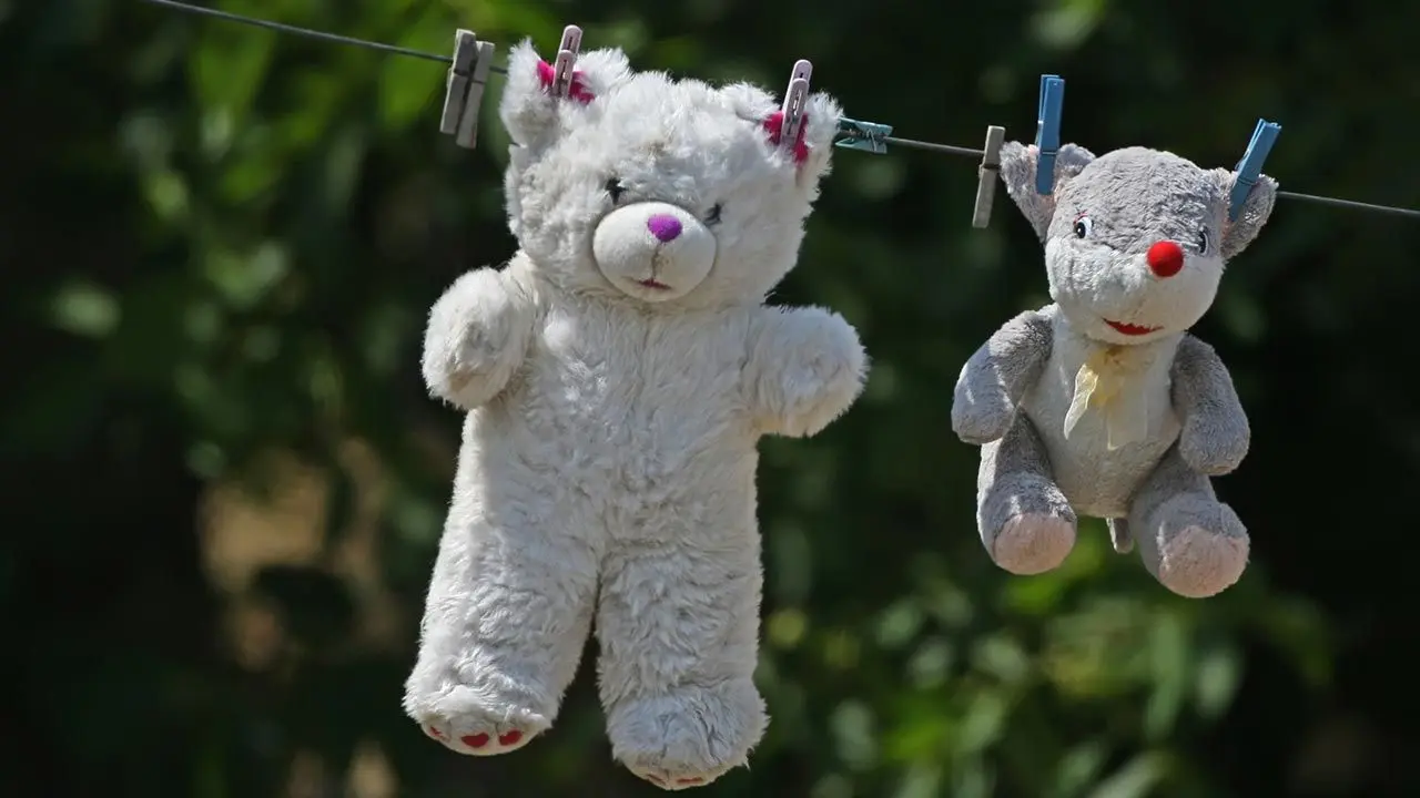 como lavar peluches con relleno de poliestireno - Cómo limpiar un peluche que no se puede mojar