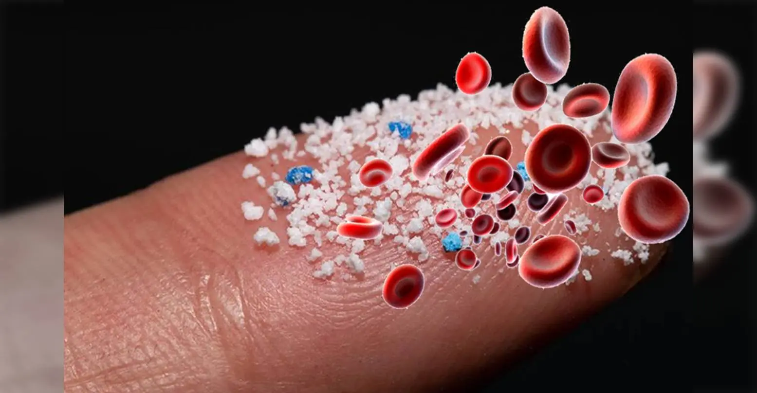 absorcion de plastico en sangre - Cómo llega el plástico a la sangre