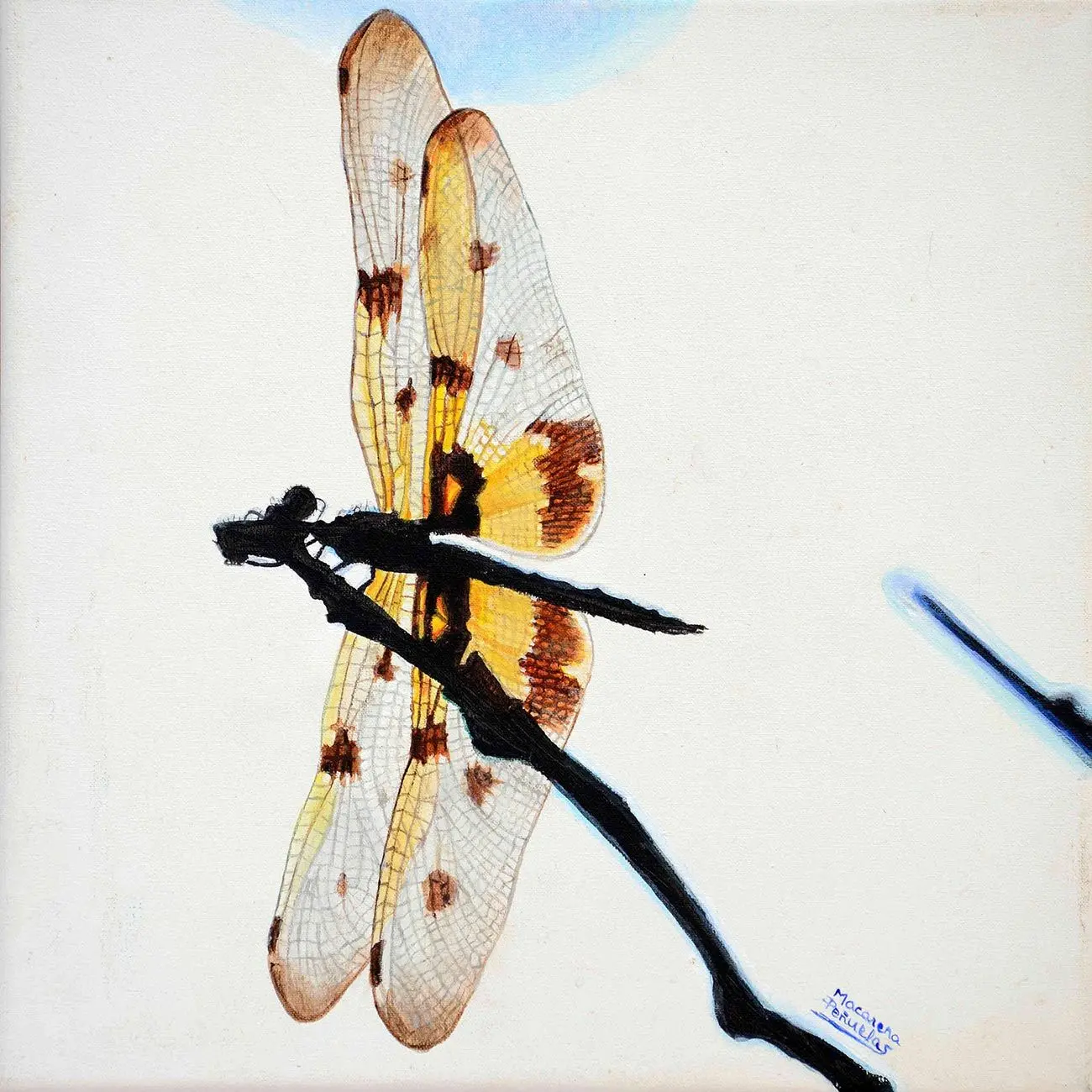 animales pintura realista libelulas con acrilico - Cómo nada una libélula