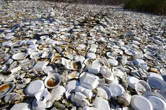 poliestireno contaminacion - Cómo perjudica la espuma de poliestireno la vida marina