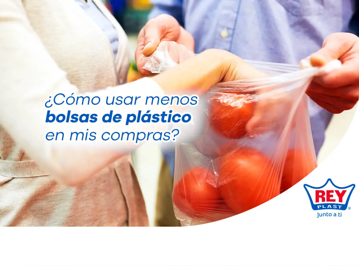 como sustituir la bolsa de plastico - Cómo podemos dejar de usar bolsas plasticas