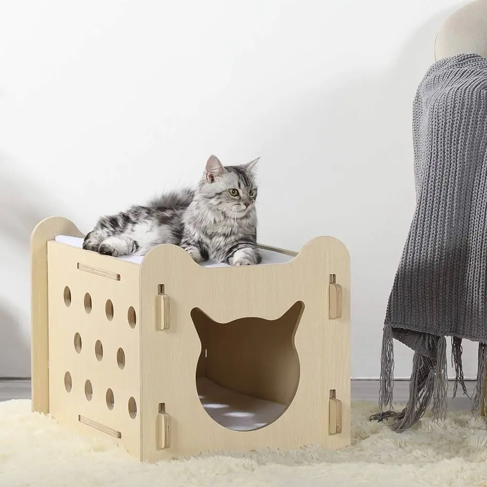 gatos casa poliestireno expandido - Cómo proteger a los gatos callejeros del frío