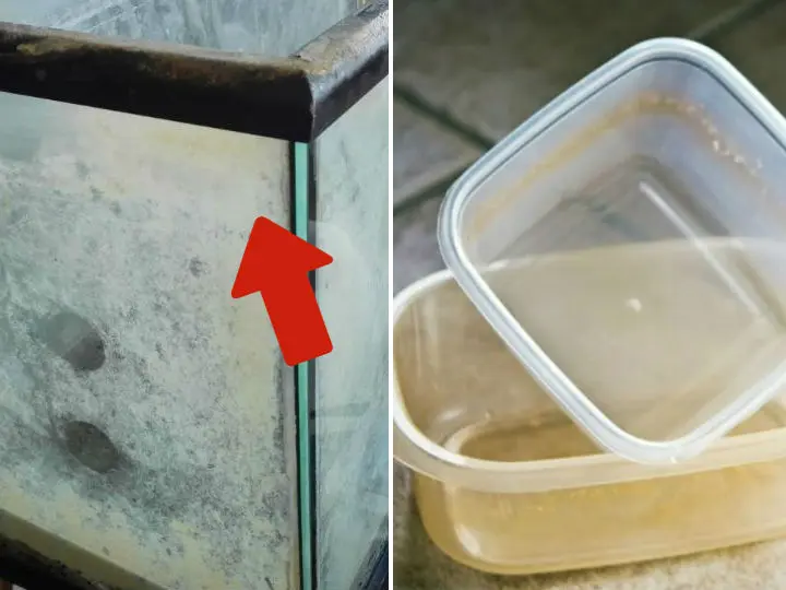 como quitar el sarro de un recipiente de plastico - Cómo quitar el sarro de una bandeja de plástico