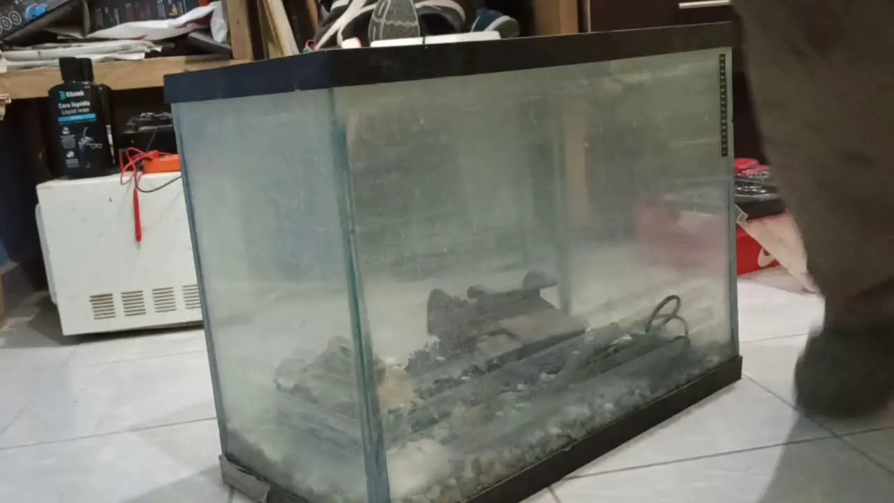 como quitar el sarro de una pecera de acrilico - Cómo quitar sarro de agua en plástico