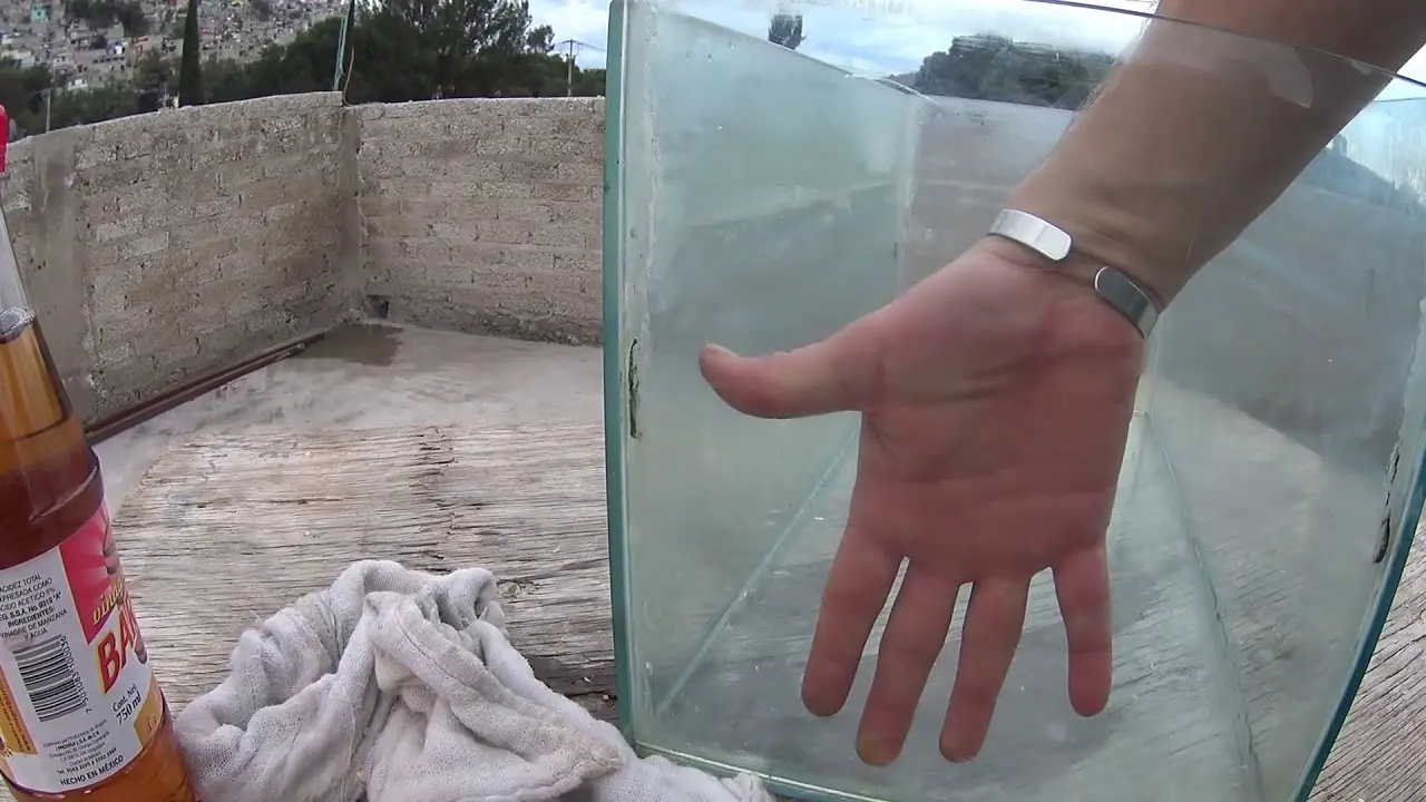 como quitar el sarro de una pecera de acrilico - Cómo quitarle lo blanco a mi pecera