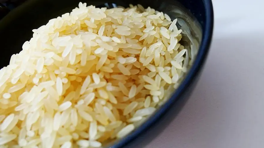 arroz precocido parece de plastico - Cómo saber si el arroz está en mal estado