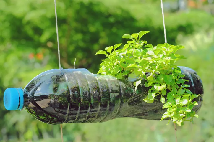 como reutilizar botellas de plastico - Cómo saber si se puede reutilizar una botella de plástico
