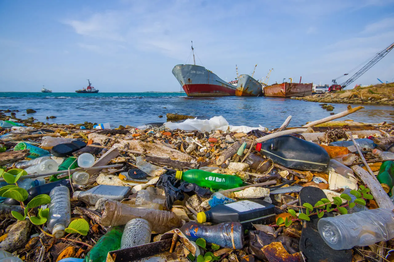 residuos de plastico en el mar - Cómo se contamina el mar a causa del plástico