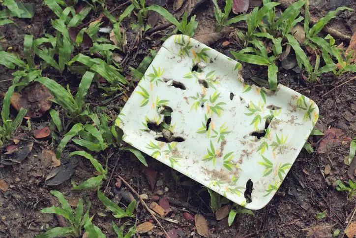 cuanto tarda en degradarse un plastico biodegradable - Cómo se descomponen los plásticos biodegradables