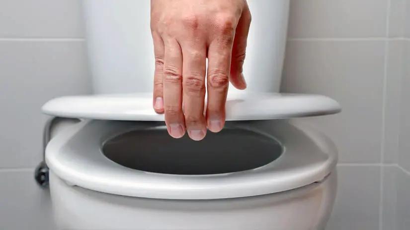Asiento de inodoro de plástico inflado - Cómo se evita que el asiento de un inodoro de plástico chirríe asiento de inodoro de plastico inflado - Cómo se evita que el asiento de un inodoro de plástico chirríe