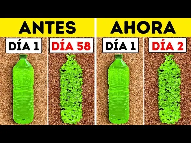 Bacterias que comen plástico: Una solución prometedora para la contaminación - Cómo se llama la bacteria que se come el plástico bacterias comen plastico que es - Cómo se llama la bacteria que se come el plástico