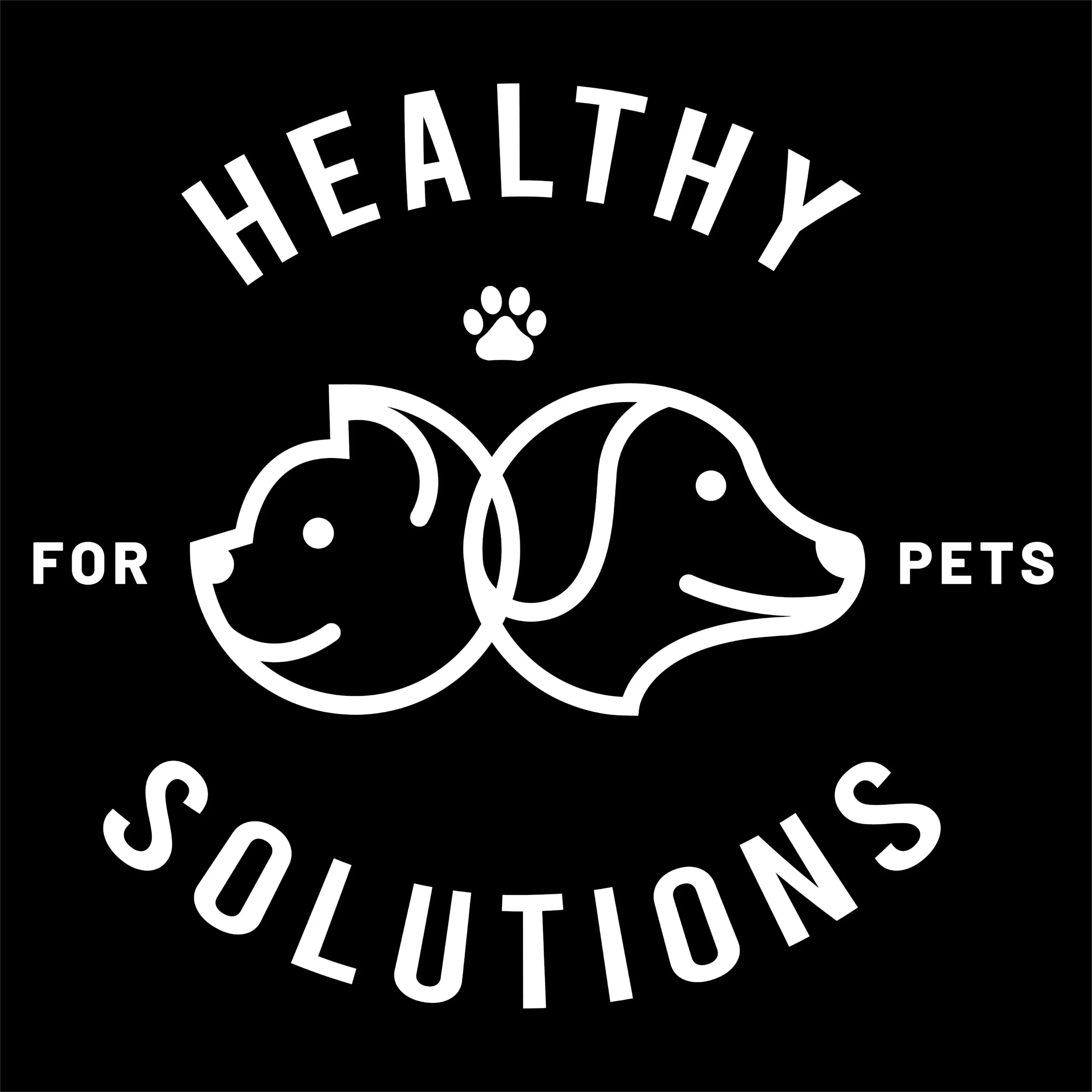Pintar perros con acrílico: consejos y recomendaciones - Cómo se llama la pintura para perros pintar perros con acrilico - Cómo se llama la pintura para perros