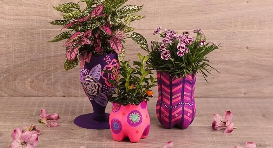 Cómo decorar macetas de botellas de plástico - Cómo se planta en macetas de plástico como decorar macetas de botellas de plastico - Cómo se planta en macetas de plástico