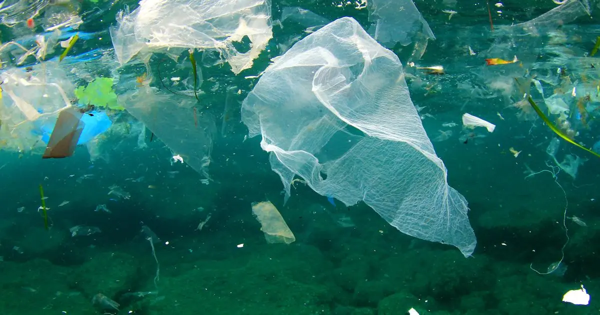 evitar usar plastico - Cómo se podría evitar la contaminación por plástico