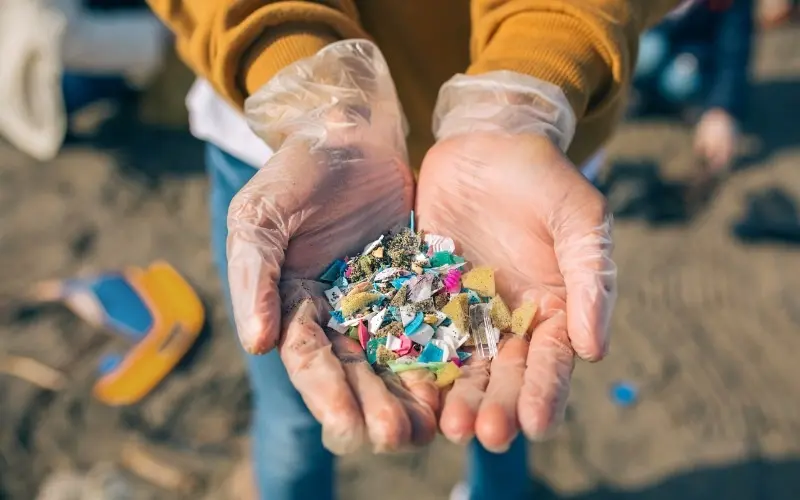 que es la degradacion del plastico - Cómo se produce la degradación del plástico biodegradable