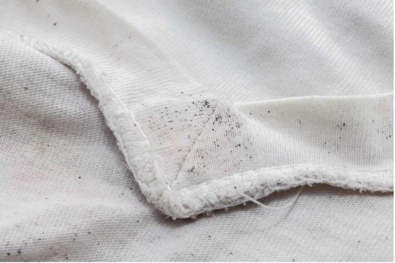 Cómo eliminar manchas de moho en plástico - Cómo se quitan las manchas de moho como eliminar manchas de moho en plastico - Cómo se quitan las manchas de moho