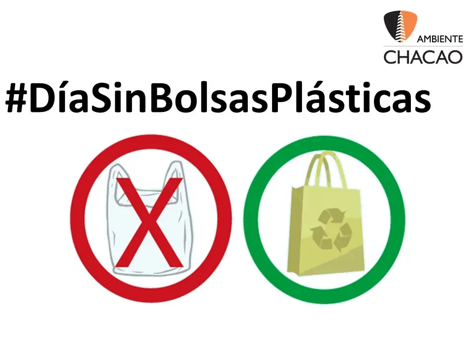 adios a las bolsas de plastico - Cómo solucionar el problema de las bolsas de plástico