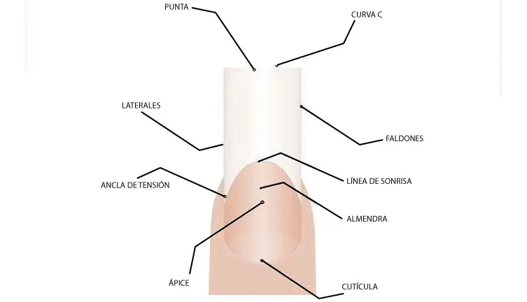 Estructura del Acrílico - Cuál es la estructura de la una acrilica estructura acrilico - Cuál es la estructura de la una acrilica