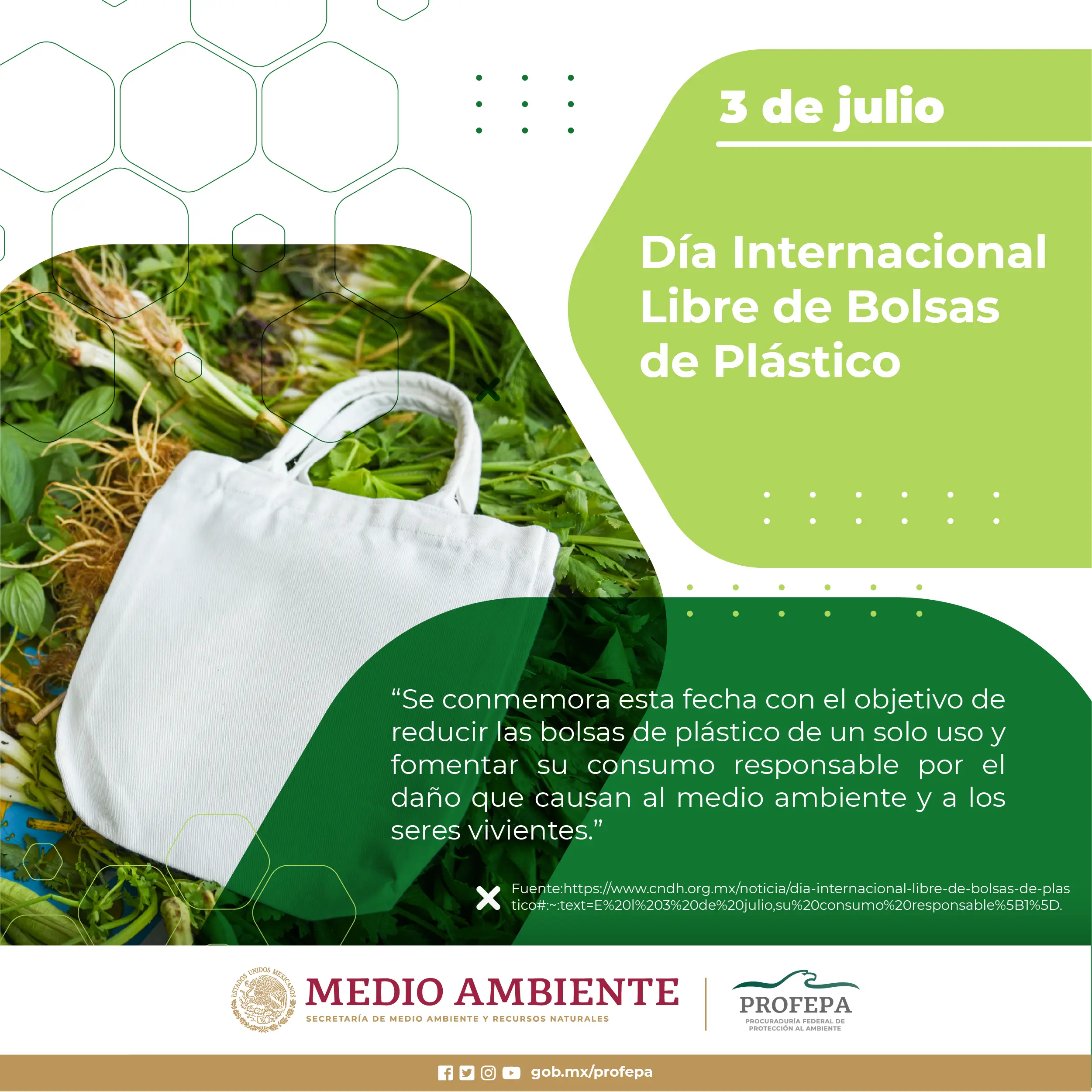 dia internacional contra las bolsas de plastico - Cuál es la finalidad del 3 de julio