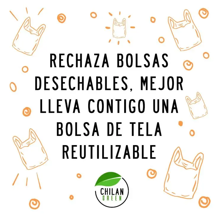 Frases sobre las bolsas de plástico - Cuál es una cita famosa sobre las bolsas de plástico frases sobre las bolsas de plastico - Cuál es una cita famosa sobre las bolsas de plástico