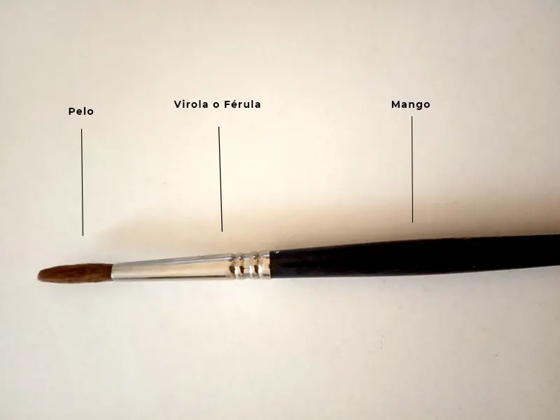 Partes de un pincel para acrílico - Cuáles son las partes del pincel Kolinsky partes de un pincel para acrilico - Cuáles son las partes del pincel Kolinsky