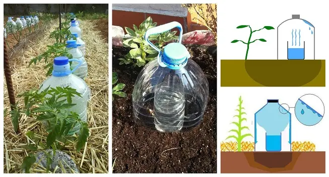 regar con botellas de plastico - Cuáles son las ventajas de utilizar el sistema de riego por goteo