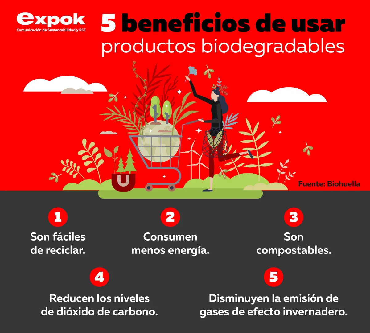 beneficios del plastico biodegradable para el medio ambiente - Cuáles son las ventajas del bioplástico