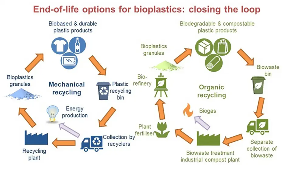 Beneficios del plástico biodegradable - Cuáles son los beneficios de los productos biodegradables beneficios del plastico biodegradable - Cuáles son los beneficios de los productos biodegradables