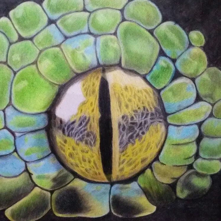viboras pintadas en acrilico - Cuáles son los colores de las serpientes