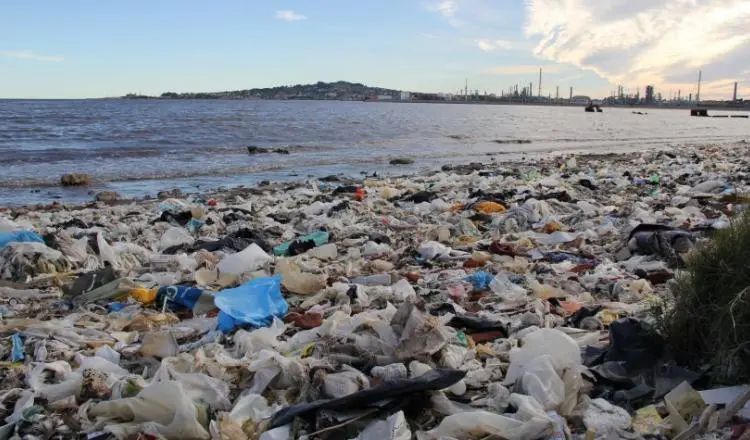 contaminacion por bolsas de plastico en argentina - Cuáles son los desechos más contaminantes de Argentina
