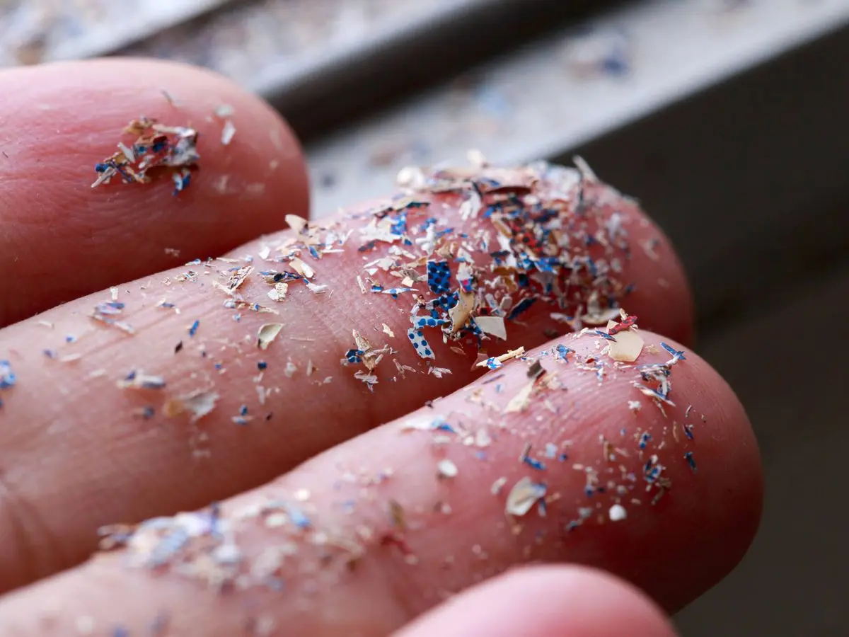 particulas de plastico - Cuáles son los peligros que generan los microplásticos