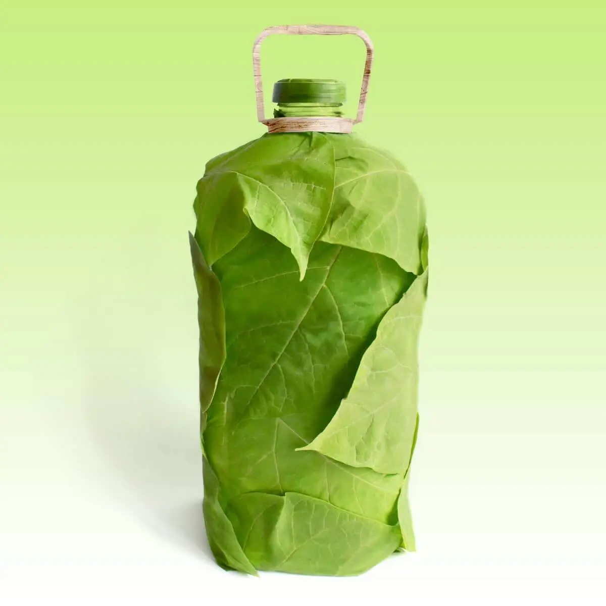 plastico vegetal biodegradable - Cuáles son los plásticos de origen vegetal