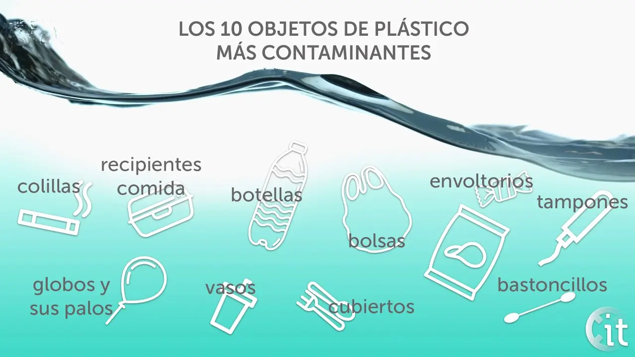Cosas de plástico que más contaminan - Cuáles son los productos que más contaminan el medio ambiente cosas de plastico que mas contaminan - Cuáles son los productos que más contaminan el medio ambiente