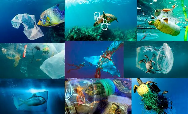 mas plastico que peces - Cuándo habrá más plástico qué peces