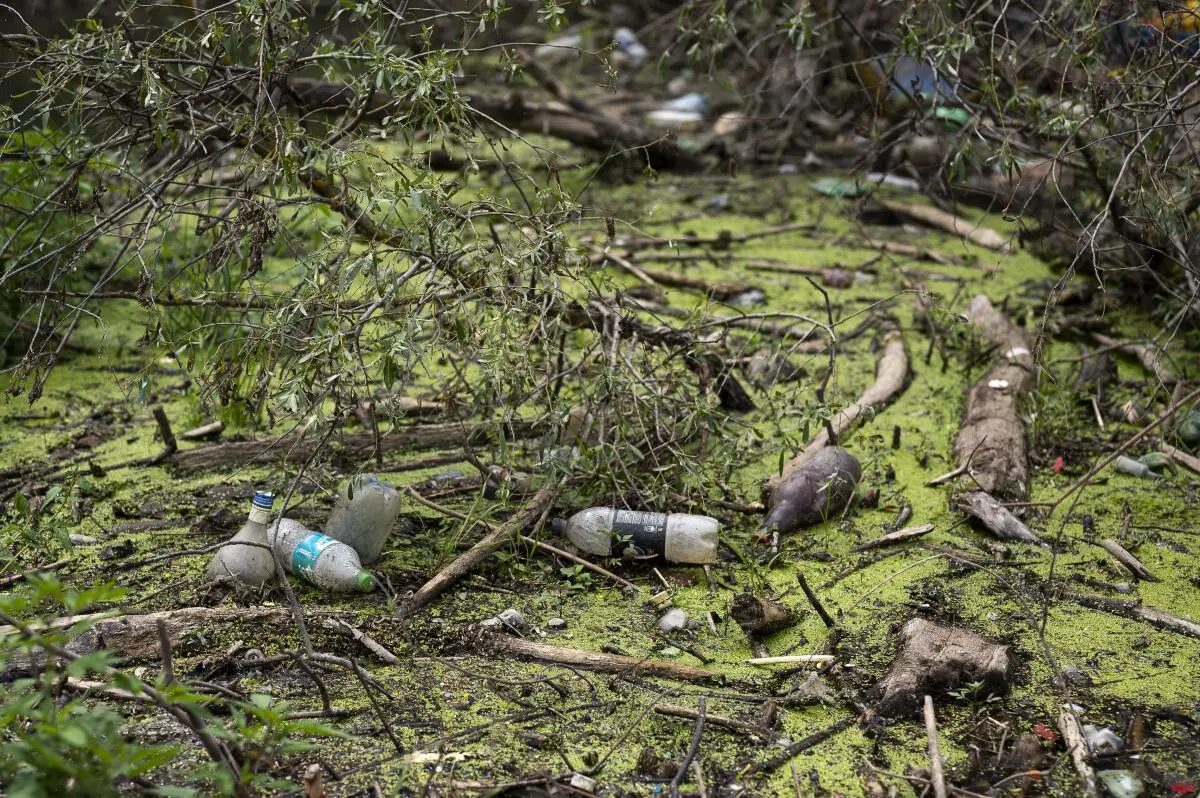 bono de fin de año para el plastico - Cuándo se cobra el bono para los trabajadores en blanco
