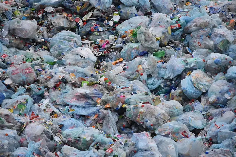el problema de las bolsas de plastico en mexico - Cuándo se prohibieron las bolsas de plástico en México
