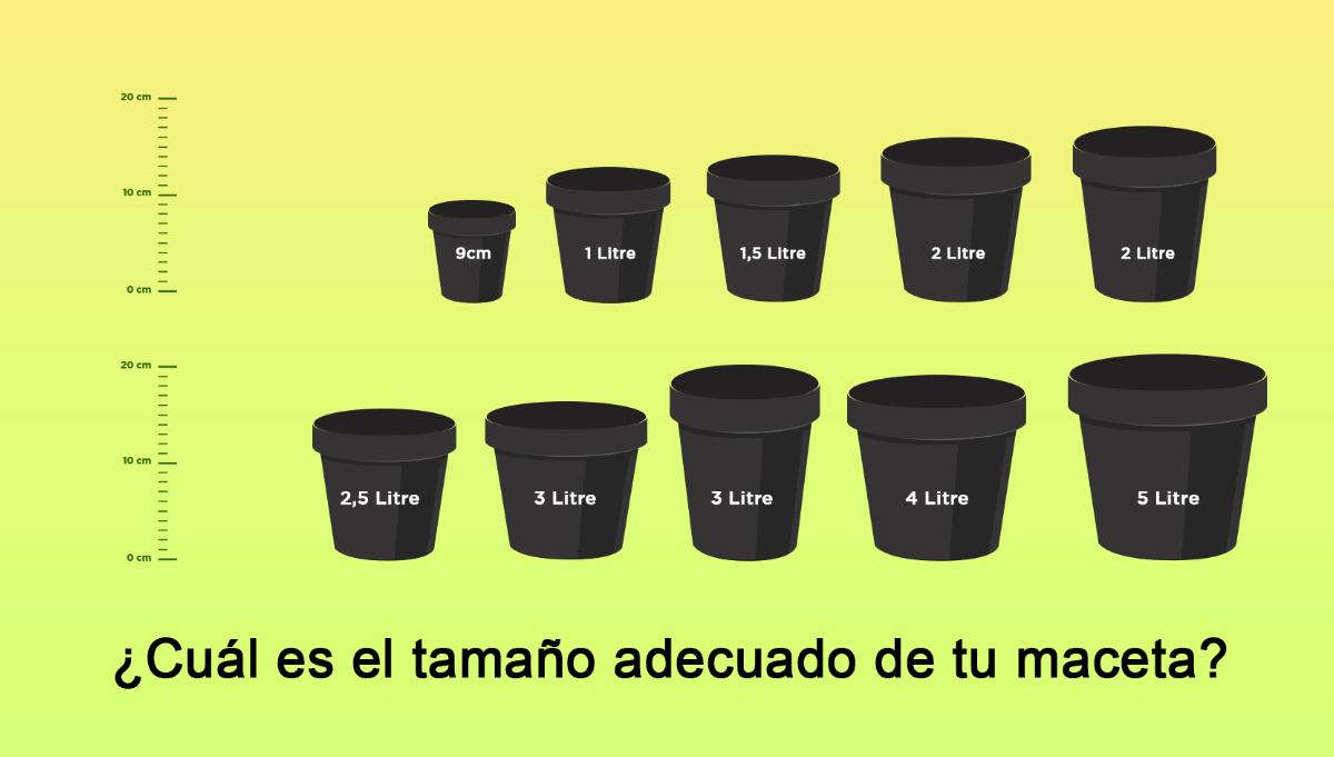 numero medidas de macetas de plastico - Cuánto mide la maceta número 10