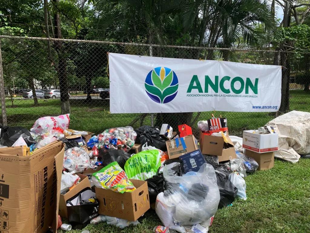 empresas de reciclaje de plastico en panama - Cuánto pagan por reciclar en Panamá