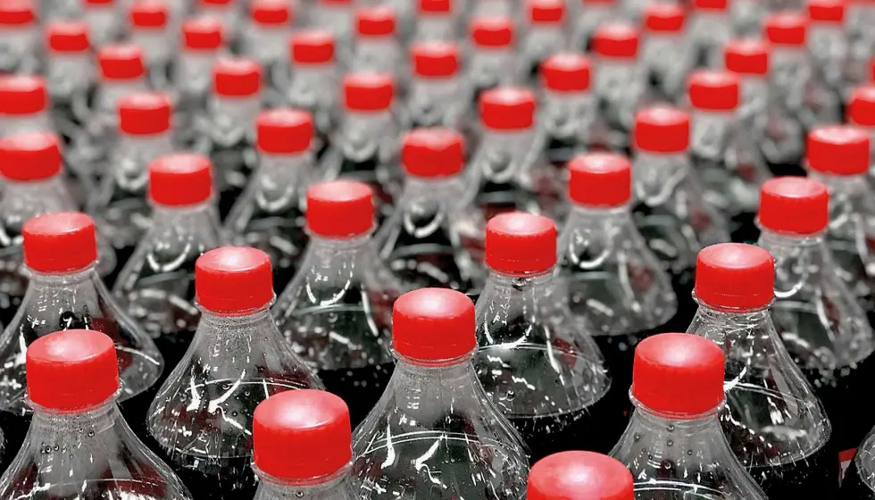 Botellas de plástico grandes: almacenamiento y transporte práctico