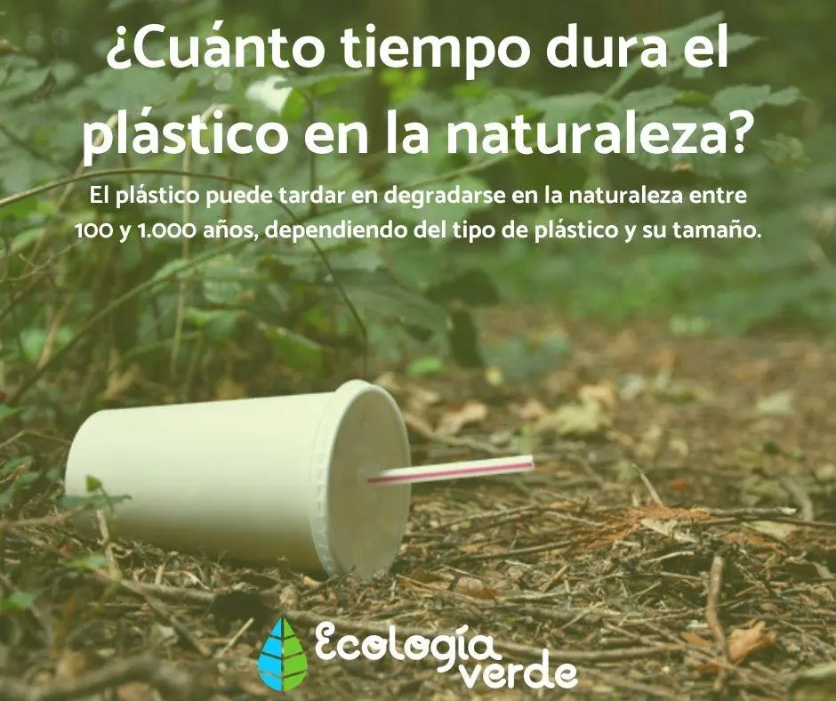 cuanto tiempo dura una botella de plastico en degradarse - Cuánto se tarda en degradarse una botella de vidrio