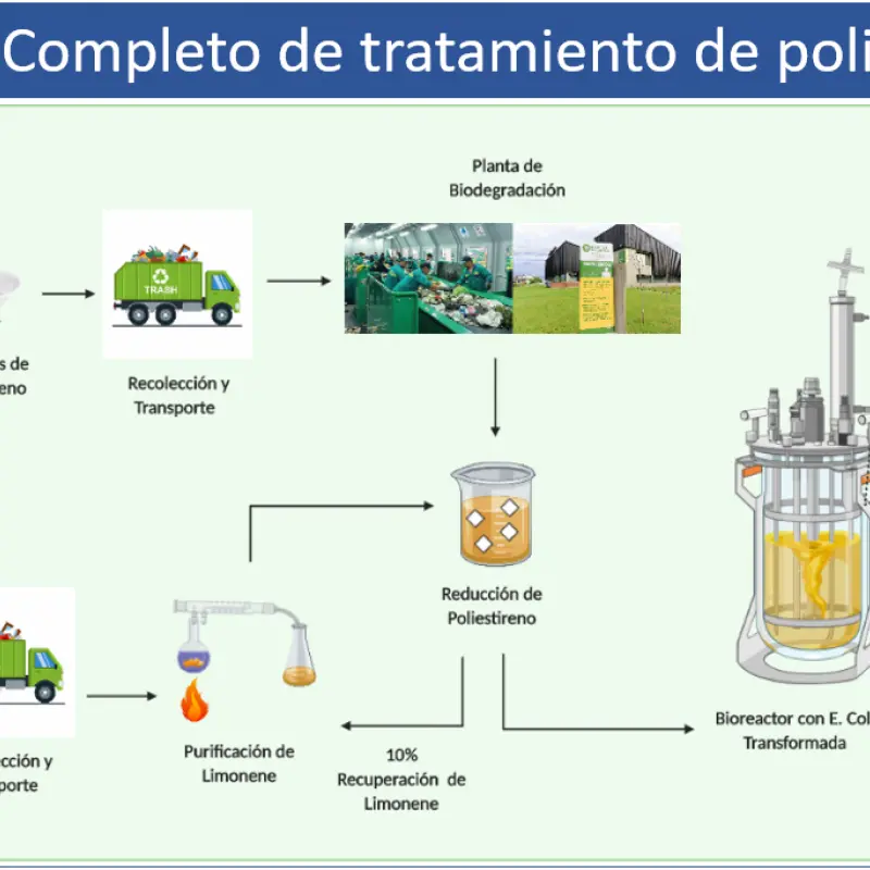 Biodegradación del Poliestireno: Impacto Ambiental y Alternativas Sostenibles - Cuánto tiempo tarda en descomponerse el poliestireno biodegradacion del poliestireno - Cuánto tiempo tarda en descomponerse el poliestireno