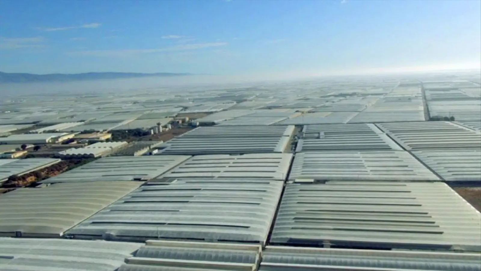 almeria españa plantacion de tomates serie mar de plastico - Dónde queda el Mar de Plástico en España